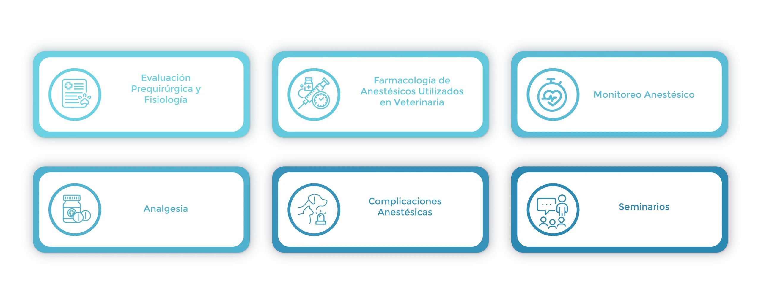 Plan de Estudios Analgesia Veterinaria