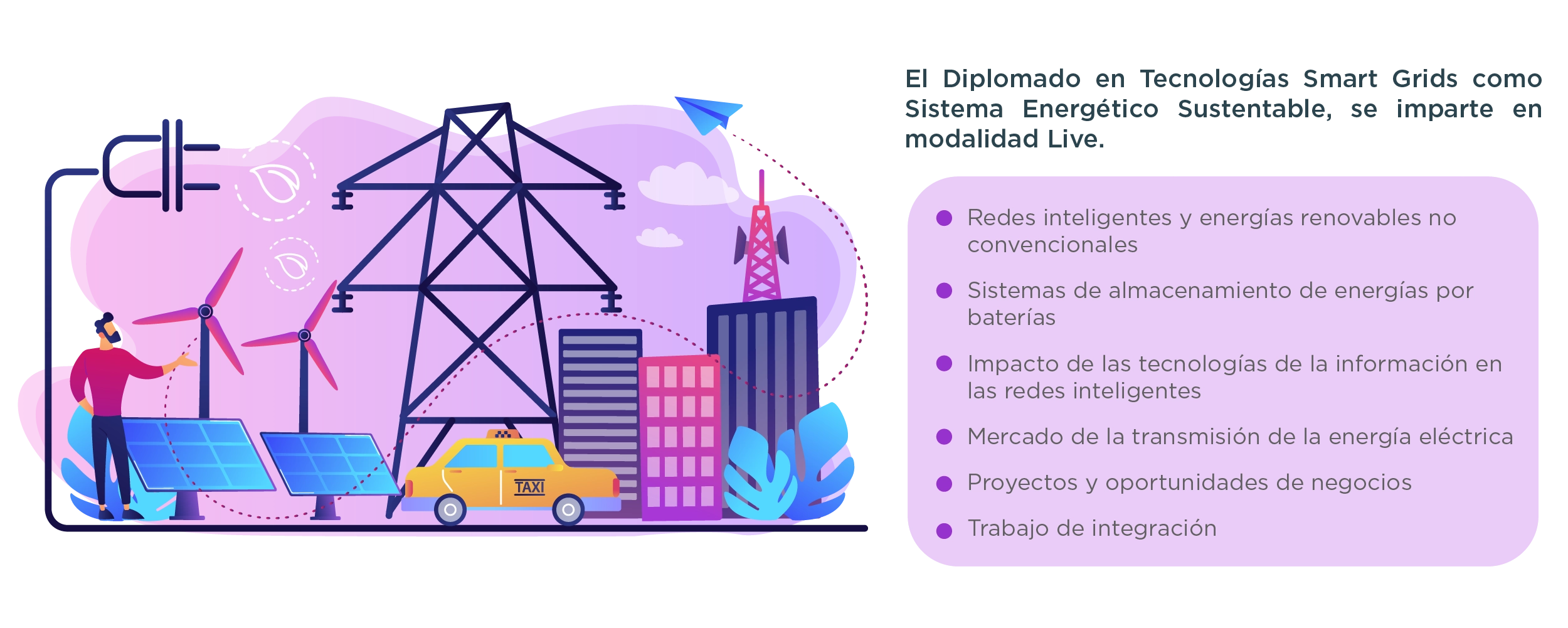 plan de estudios dip grids